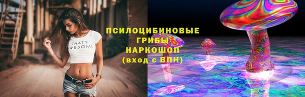 ешки Гусев