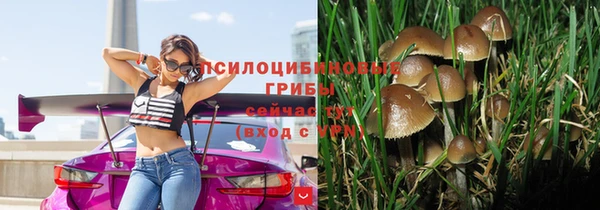 mdma Дмитров